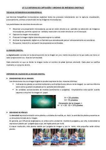 5.5-Sistemas-de-captacion-y-archivo-de-imagenes-digitales.pdf
