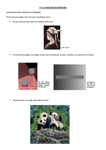 5.6-Analisis-de-imagenes.pdf