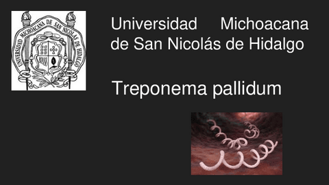 Treponema-pallidum-Sifilis.pdf