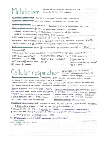 metabolism.pdf
