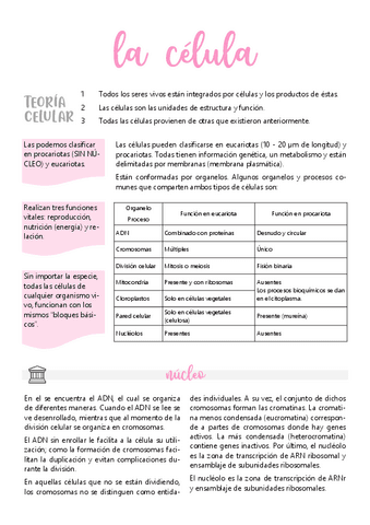 Conceptos básicos de la Célula.pdf