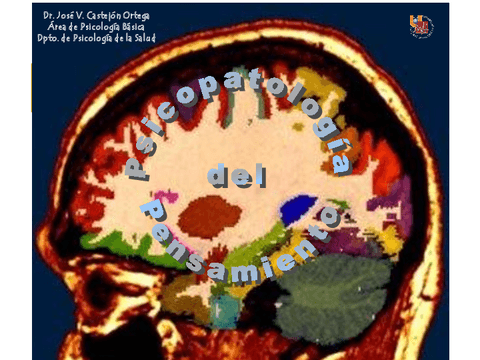 15-Psicopatologia-Pensamiento.pdf