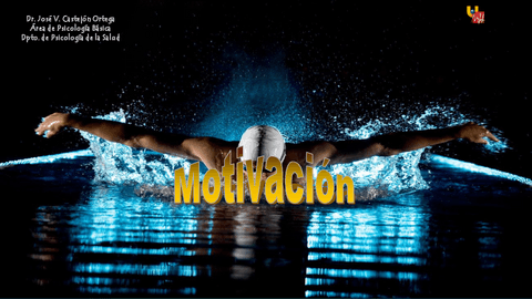 19-Motivacion.pdf