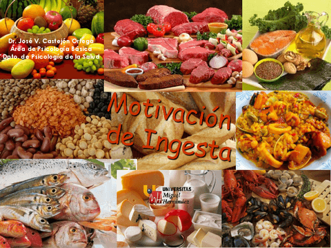 20-Motivacion-Ingesta.pdf