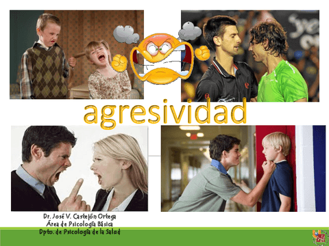 25-Agresividad.pdf