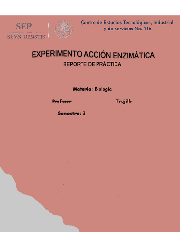 Experimento-accion-enzimatica-3er-semestre.pdf