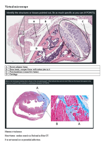 Virtual-microscope-test.pdf