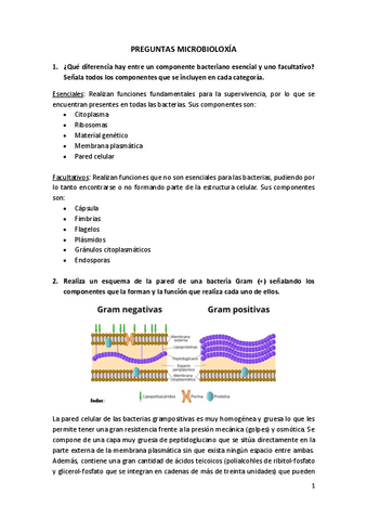 RECOPILATORIO-Preguntas-micro.pdf