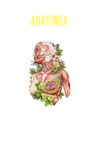 ANATOMIA-Histologia-Nervios-i-Locomotor.pdf