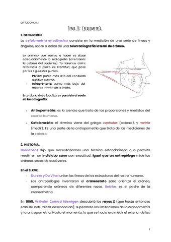 TEMA-28-ORTO.pdf
