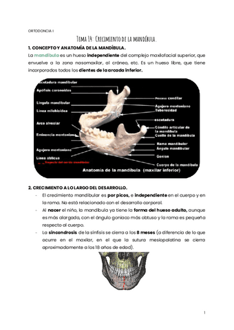 TEMA-14-ORTO.pdf