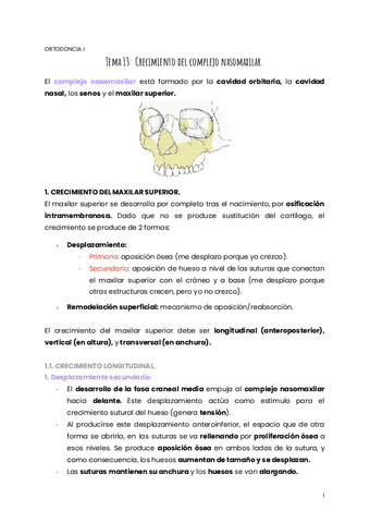 TEMA-13-ORTO.pdf