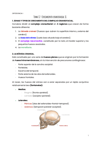 TEMA-12-ORTO.pdf