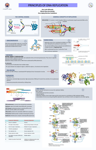 POSTER-DNA-REPLICATION.pdf