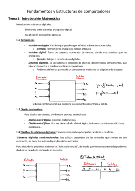 Resumen_FEC.pdf