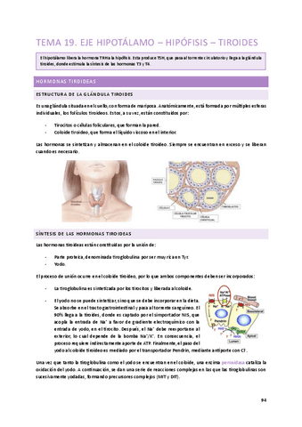 Tema-19.-Eje-hipotalamo-hipofisis-tiroides.pdf