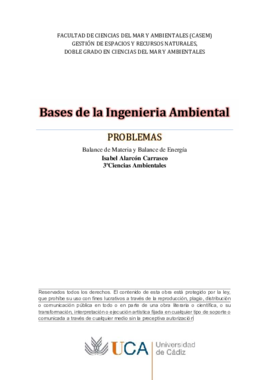 BasesIng Problemas_Balance Mat y E.pdf
