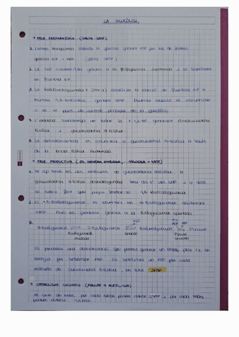 Glucolisi.pdf
