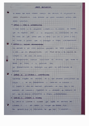 Cadena-respiratoria-i-sintesi-dATP.pdf
