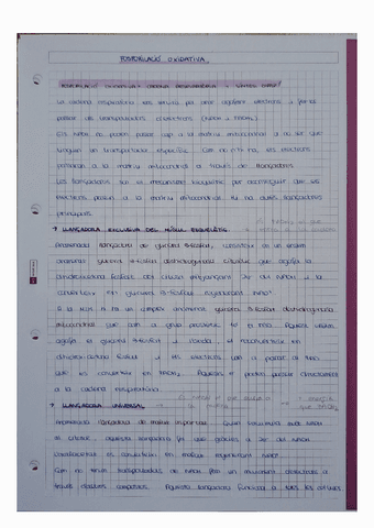 Fosforilacio-Oxidativa.pdf