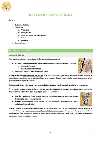 TEMA-1-EMERGENCIAS-Y-CATASTROFES.pdf