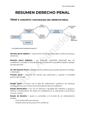 RESUMEN-PRINCIPIOS-DERECHO-PENAL.pdf