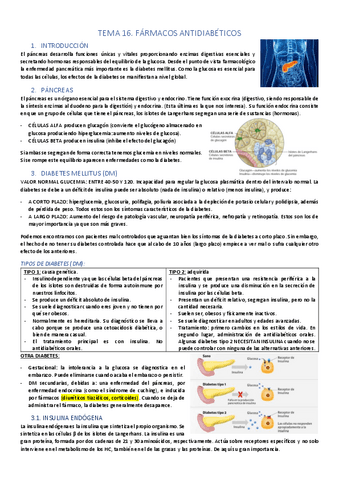 UDIII-metabolica.pdf