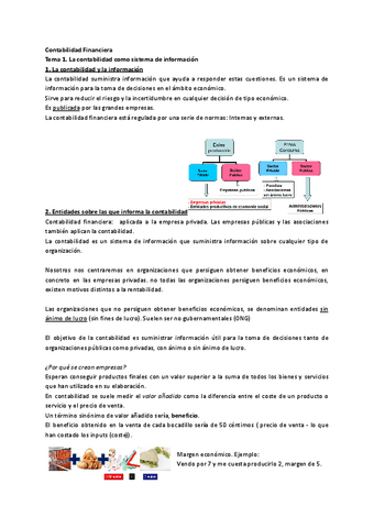 Contabilidad-Financiera-tema-1-6.pdf