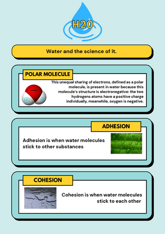 The-science-of-water.pdf