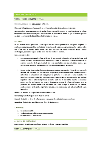 Anatomía Patológica_ Info chula ;).pdf
