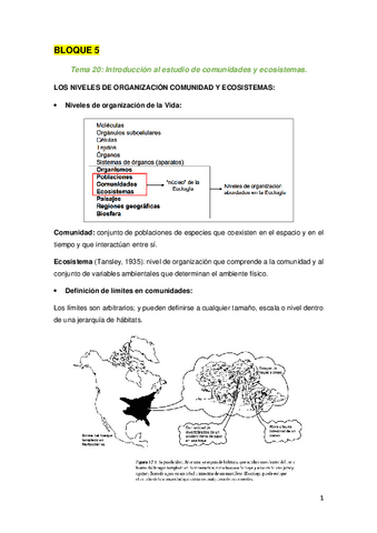 APUNTES-BLOQUES-5-Y-6-SOFIA-Y-FERNANDO.-ECOLOGIA.pdf