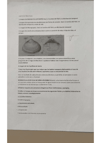 paleo-examen-redactado.pdf