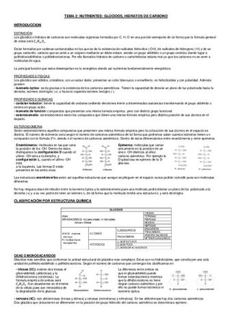 Hidratos-de-carbono.pdf