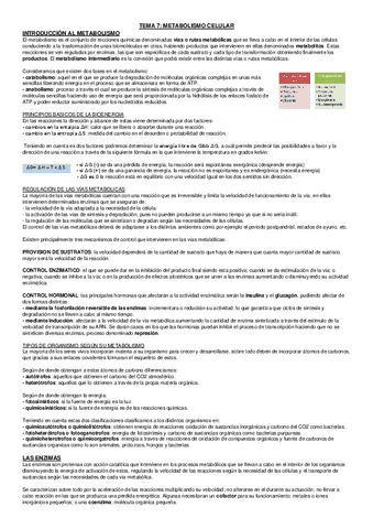 Metabolismo.pdf