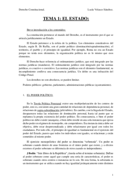 TEMA 1.pdf
