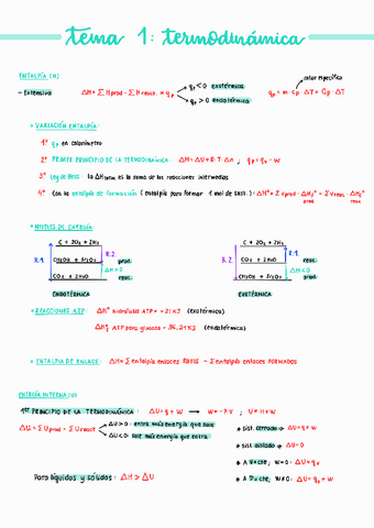 ESQUEMA-TEMA-1-TERMODINAMICA.pdf
