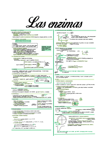 Unidad-9.-Las-enzimas.pdf