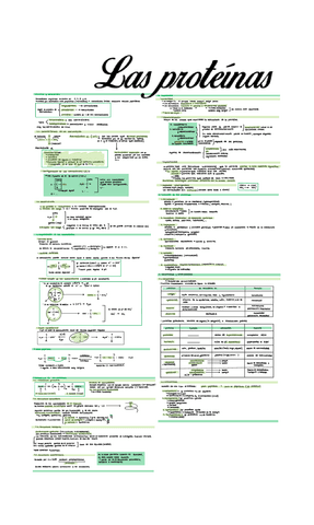Tema-4.-Las-proteinas.pdf