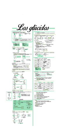 Unidad-2.-Los-glucidos..pdf