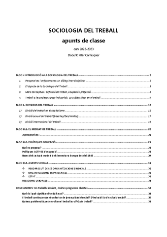 Apunts Sociologia del Treball.pdf