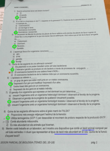Examen-Bio.pdf