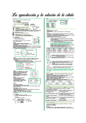 Tema-12.-La-reproduccion-y-la-relacion-de-la-celula.pdf