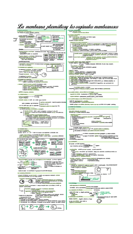 Tema-7.-La-membrana-plasmatica-el-citosol-y-los-organulos-membranosos.pdf