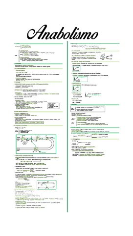 Unidad-11.-Anabolismo.pdf
