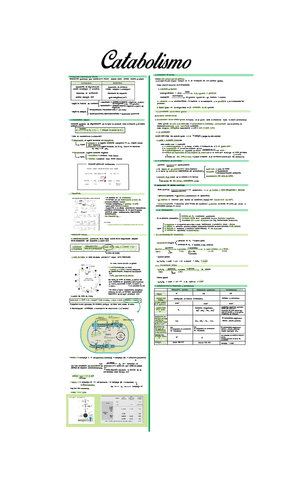 Unidad-10.-Catabolismo.pdf