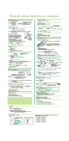 Tema-8-.Organulos-celulares-delimitados-por-membranas.pdf