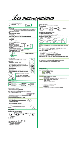Tema-17.-Los-microorganismos.pdf