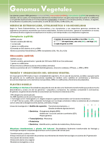 BIOTEC-VEG-T2.pdf