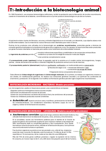 BIOTEC-ANI-T1.pdf