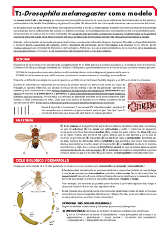 BIOTEC-ANI-T2.pdf